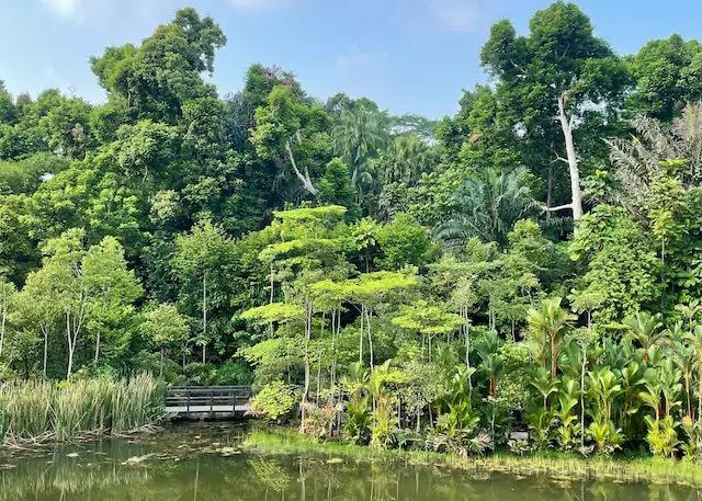 Sentosa Island: Unforgettable Visual Moments in Singapore's Coastal Gem
